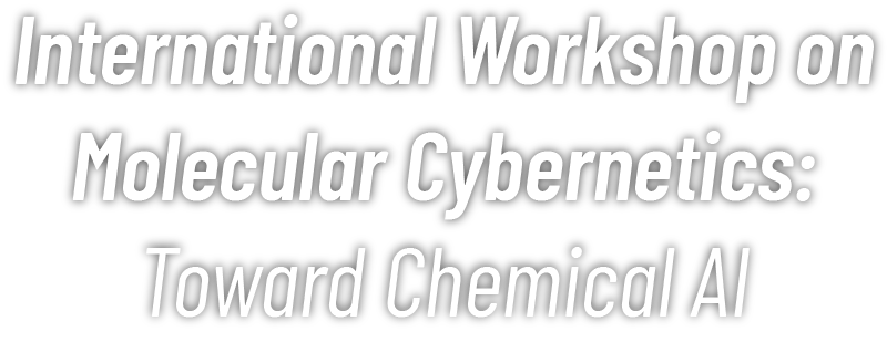 International Workshop on Molecular Cybernetics: Toward Chemical AI