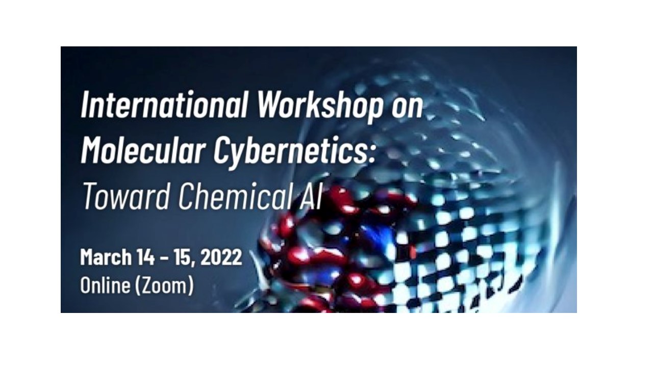 International workshop on molecular cybernetics: toward chemical